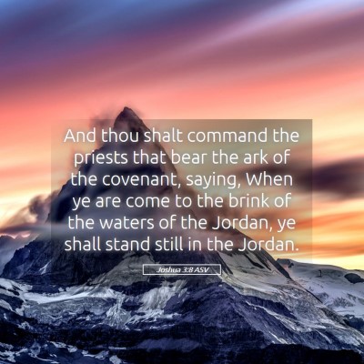 Picture 05 - Joshua 3:8 ASV - And thou shalt command the priests that bear the - Bible Verse Picture