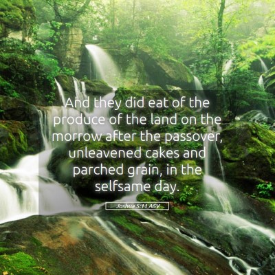 Picture 05 - Joshua 5:11 ASV - And they did eat of the produce of the land on - Bible Verse Picture