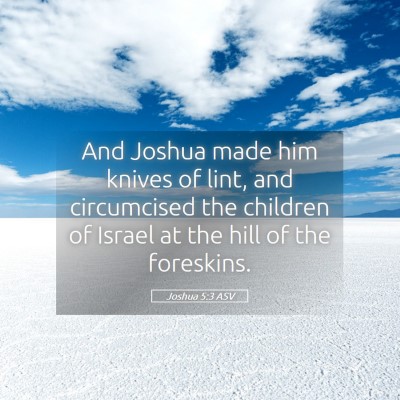 Picture 05 - Joshua 5:3 ASV - And Joshua made him knives of lint, and - Bible Verse Picture