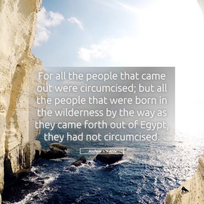 Picture 05 - Joshua 5:5 ASV - For all the people that came out were - Bible Verse Picture