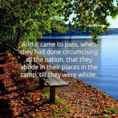 Picture 05 - Joshua 5:8 ASV - And it came to pass, when they had done - Bible Verse Picture