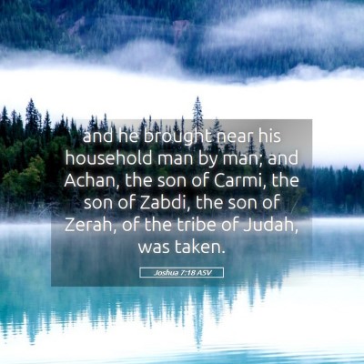 Picture 05 - Joshua 7:18 ASV - and he brought near his household man by man; and - Bible Verse Picture
