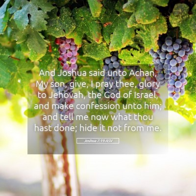 Picture 05 - Joshua 7:19 ASV - And Joshua said unto Achan, My son, give, I pray - Bible Verse Picture