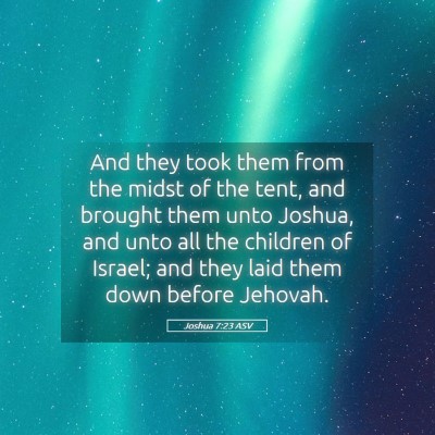 Picture 05 - Joshua 7:23 ASV - And they took them from the midst of the tent, - Bible Verse Picture