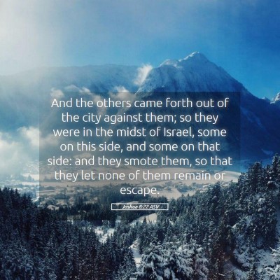 Picture 05 - Joshua 8:22 ASV - And the others came forth out of the city against - Bible Verse Picture