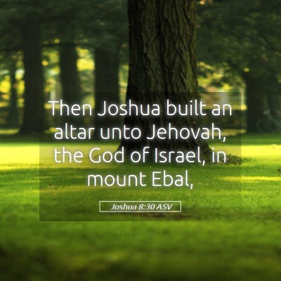Picture 05 - Joshua 8:30 ASV - Then Joshua built an altar unto Jehovah, the God - Bible Verse Picture