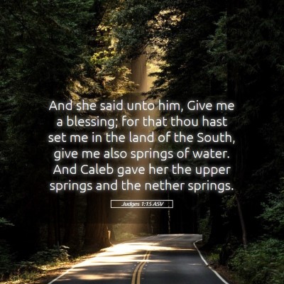 Picture 05 - Judges 1:15 ASV - And she said unto him, Give me a blessing; for - Bible Verse Picture