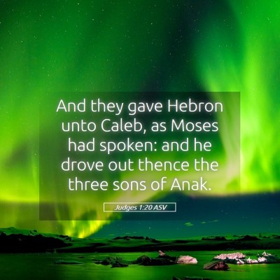 Picture 05 - Judges 1:20 ASV - And they gave Hebron unto Caleb, as Moses had - Bible Verse Picture