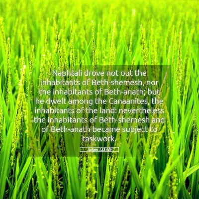 Picture 05 - Judges 1:33 ASV - Naphtali drove not out the inhabitants of - Bible Verse Picture