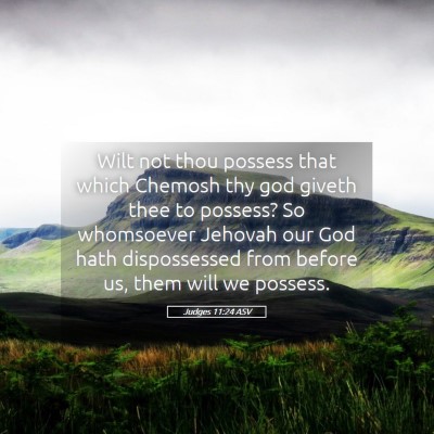 Picture 05 - Judges 11:24 ASV - Wilt not thou possess that which Chemosh thy god - Bible Verse Picture
