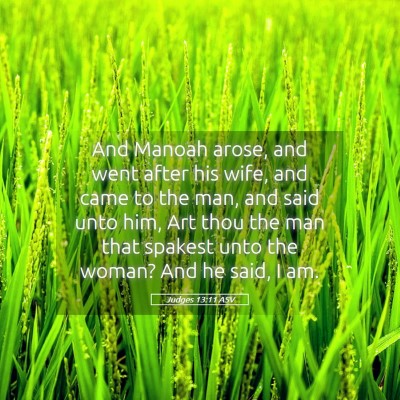 Picture 05 - Judges 13:11 ASV - And Manoah arose, and went after his wife, and - Bible Verse Picture
