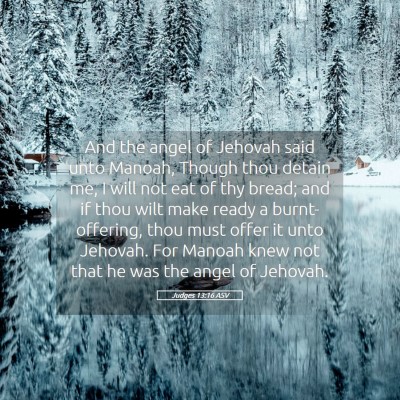 Picture 05 - Judges 13:16 ASV - And the angel of Jehovah said unto Manoah, Though - Bible Verse Picture