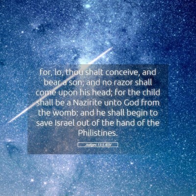 Picture 05 - Judges 13:5 ASV - for, lo, thou shalt conceive, and bear a son; and - Bible Verse Picture