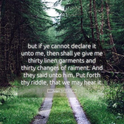 Picture 05 - Judges 14:13 ASV - but if ye cannot declare it unto me, then shall - Bible Verse Picture