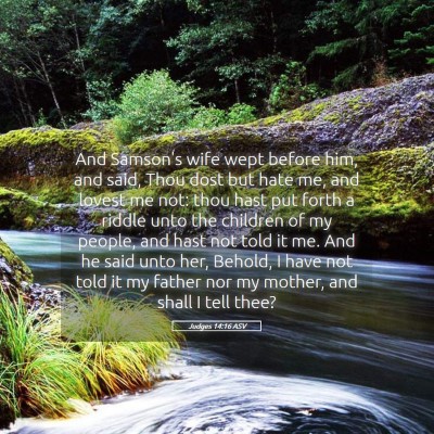 Picture 05 - Judges 14:16 ASV - And Samson's wife wept before him, and said, Thou - Bible Verse Picture