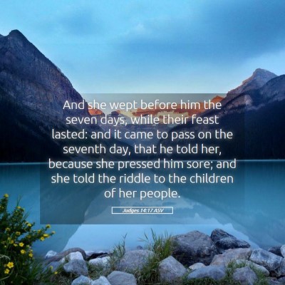 Picture 05 - Judges 14:17 ASV - And she wept before him the seven days, while - Bible Verse Picture