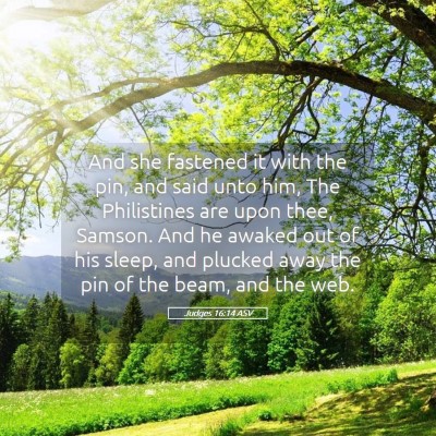 Picture 05 - Judges 16:14 ASV - And she fastened it with the pin, and said unto - Bible Verse Picture
