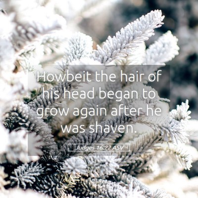 Picture 05 - Judges 16:22 ASV - Howbeit the hair of his head began to grow again - Bible Verse Picture