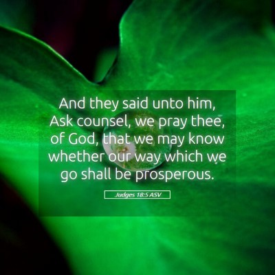 Picture 05 - Judges 18:5 ASV - And they said unto him, Ask counsel, we pray - Bible Verse Picture