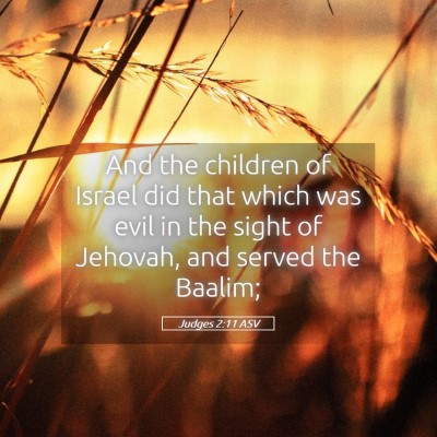 Picture 05 - Judges 2:11 ASV - And the children of Israel did that which was - Bible Verse Picture