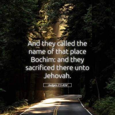 Picture 05 - Judges 2:5 ASV - And they called the name of that place Bochim: - Bible Verse Picture