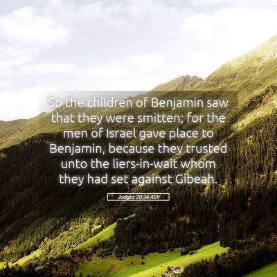 Picture 05 - Judges 20:36 ASV - So the children of Benjamin saw that they were - Bible Verse Picture