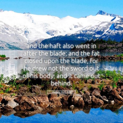 Picture 05 - Judges 3:22 ASV - and the haft also went in after the blade; and - Bible Verse Picture