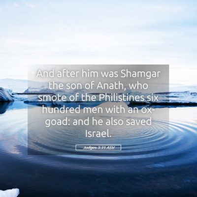 Picture 05 - Judges 3:31 ASV - And after him was Shamgar the son of Anath, who - Bible Verse Picture