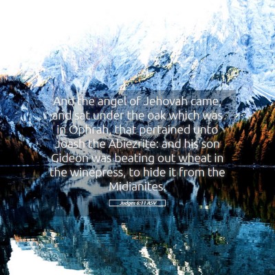 Picture 05 - Judges 6:11 ASV - And the angel of Jehovah came, and sat under the - Bible Verse Picture