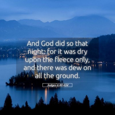 Picture 05 - Judges 6:40 ASV - And God did so that night: for it was dry upon - Bible Verse Picture