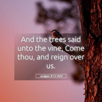Picture 05 - Judges 9:12 ASV - And the trees said unto the vine, Come thou, and - Bible Verse Picture