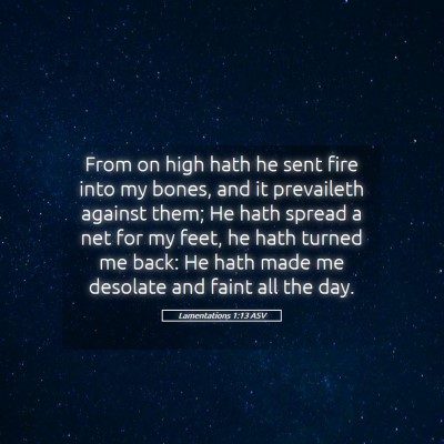 Picture 05 - Lamentations 1:13 ASV - From on high hath he sent fire into my bones, and - Bible Verse Picture