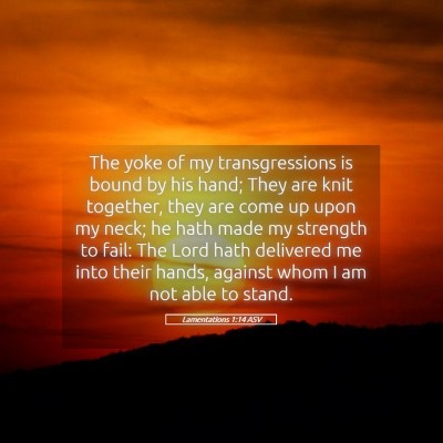 Picture 05 - Lamentations 1:14 ASV - The yoke of my transgressions is bound by his - Bible Verse Picture