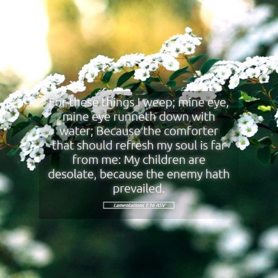 Picture 05 - Lamentations 1:16 ASV - For these things I weep; mine eye, mine eye - Bible Verse Picture