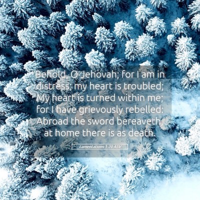 Picture 05 - Lamentations 1:20 ASV - Behold, O Jehovah; for I am in distress; my heart - Bible Verse Picture