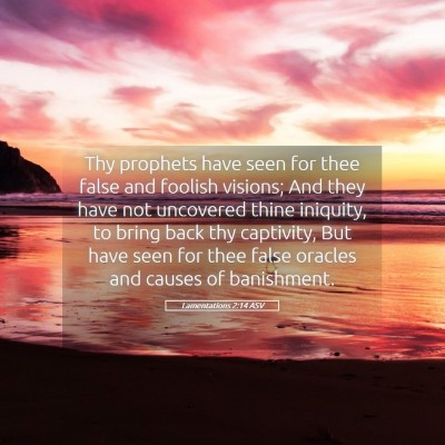 Picture 05 - Lamentations 2:14 ASV - Thy prophets have seen for thee false and foolish - Bible Verse Picture