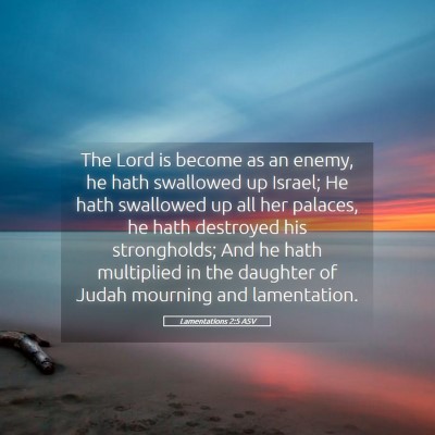 Picture 05 - Lamentations 2:5 ASV - The Lord is become as an enemy, he hath swallowed - Bible Verse Picture