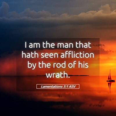 Picture 05 - Lamentations 3:1 ASV - I am the man that hath seen affliction by the rod - Bible Verse Picture