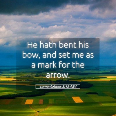 Picture 05 - Lamentations 3:12 ASV - He hath bent his bow, and set me as a mark for - Bible Verse Picture