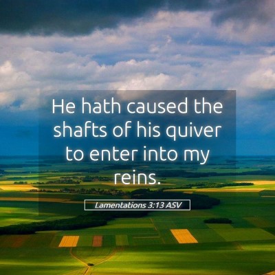 Picture 05 - Lamentations 3:13 ASV - He hath caused the shafts of his quiver to enter - Bible Verse Picture
