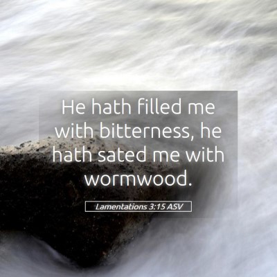 Picture 05 - Lamentations 3:15 ASV - He hath filled me with bitterness, he hath sated - Bible Verse Picture