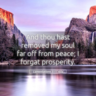 Picture 05 - Lamentations 3:17 ASV - And thou hast removed my soul far off from peace; - Bible Verse Picture