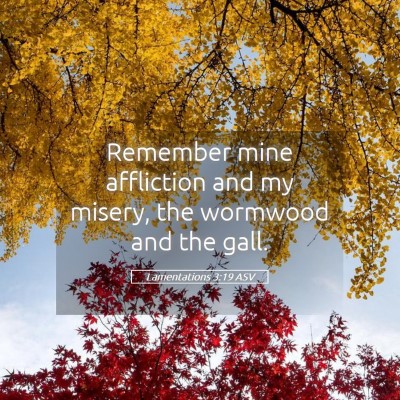 Picture 05 - Lamentations 3:19 ASV - Remember mine affliction and my misery, the - Bible Verse Picture