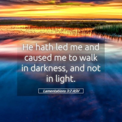 Picture 05 - Lamentations 3:2 ASV - He hath led me and caused me to walk in darkness, - Bible Verse Picture