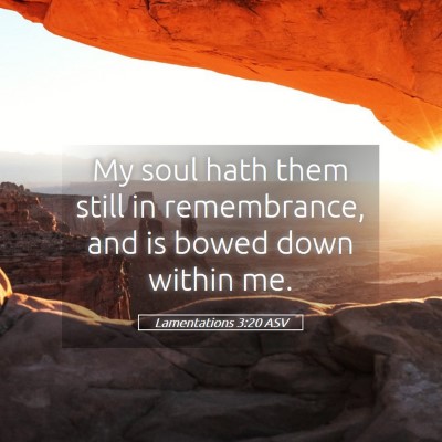 Picture 05 - Lamentations 3:20 ASV - My soul hath them still in remembrance, and is - Bible Verse Picture