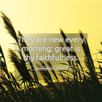 Picture 05 - Lamentations 3:23 ASV - They are new every morning; great is thy - Bible Verse Picture