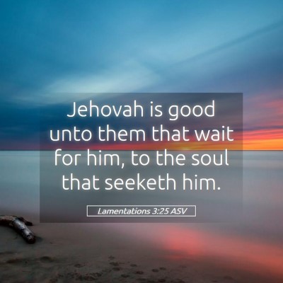 Picture 05 - Lamentations 3:25 ASV - Jehovah is good unto them that wait for him, to - Bible Verse Picture