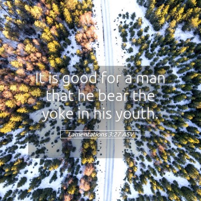 Picture 05 - Lamentations 3:27 ASV - It is good for a man that he bear the yoke in his - Bible Verse Picture