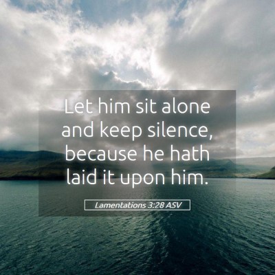 Picture 05 - Lamentations 3:28 ASV - Let him sit alone and keep silence, because he - Bible Verse Picture