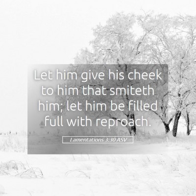 Picture 05 - Lamentations 3:30 ASV - Let him give his cheek to him that smiteth him; - Bible Verse Picture
